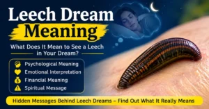 leech dream meaning