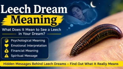 leech dream meaning