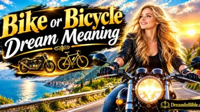 Bike or Bicycle Dream Meaning
